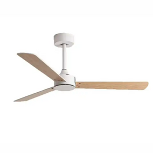 HOVER Ceiling Fan