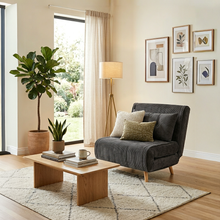 Load image into Gallery viewer, PIPA 1 Seater Sofabed