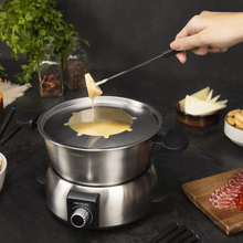 Load image into Gallery viewer, FUN GOURMET Electric Fondue