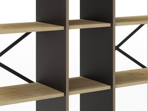 ARA Bookcase