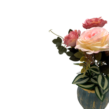 Load image into Gallery viewer, BEGONIA  Plant
