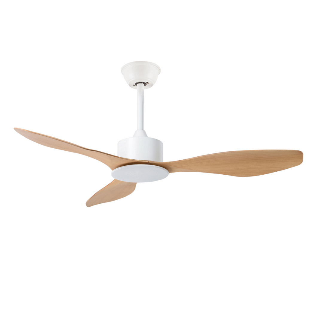 WINDEMERE Ceiling Fan