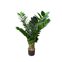 Load image into Gallery viewer, ZAMIOCULCAS Plant
