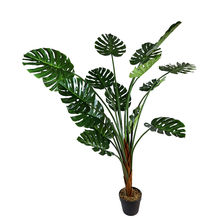 Load image into Gallery viewer, ISLAND Pine tree
