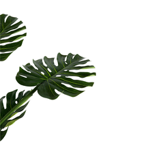 Load image into Gallery viewer, ISLAND Pine tree
