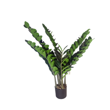 Load image into Gallery viewer, ZAMIOCULCAS Plant
