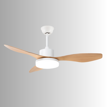 Load image into Gallery viewer, WINDEMERE Ceiling Fan
