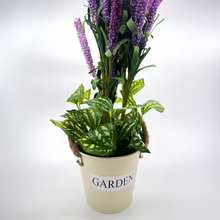 Load image into Gallery viewer, LAVENDER Plant
