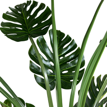 Load image into Gallery viewer, ISLAND Pine tree
