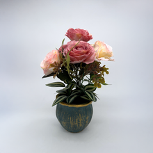 Load image into Gallery viewer, BEGONIA  Plant
