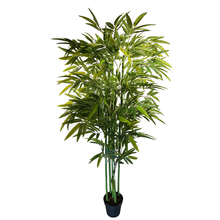 Load image into Gallery viewer, BAMBOO Tree -210cm
