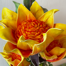 Load image into Gallery viewer, GERBERA  Plant
