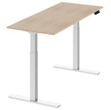 Load image into Gallery viewer, VICI Office Adjustable Desk
