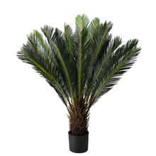 Load image into Gallery viewer, SAGOO Plant

