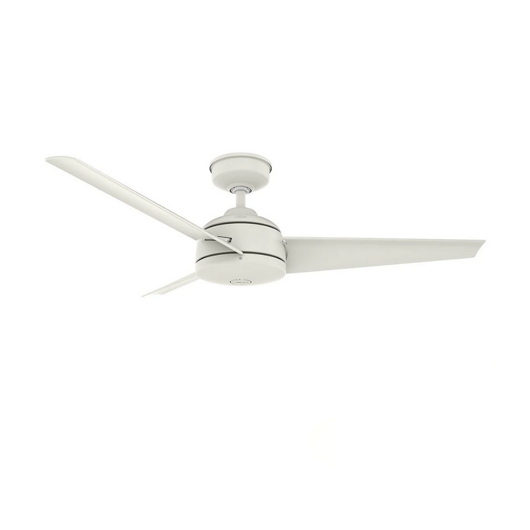 Trimaran Ceiling Fan