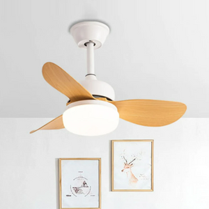 JAMY Ceiling fan