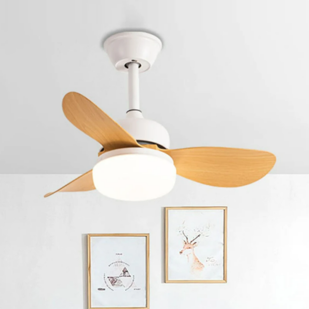 JAMY Ceiling fan