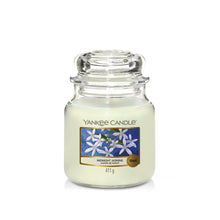 Load image into Gallery viewer, Midnight Jasmine Candle- Classic Jar
