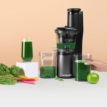 Load image into Gallery viewer, Slow Juicer
