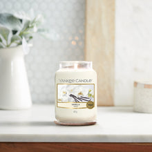 Load image into Gallery viewer, VANILLA Candle- Classic Jar
