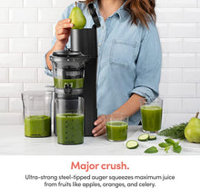 Load image into Gallery viewer, Slow Juicer
