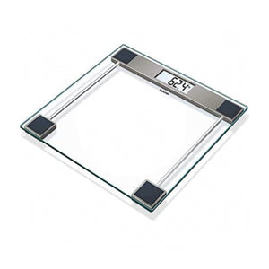 Glass Scale GS11