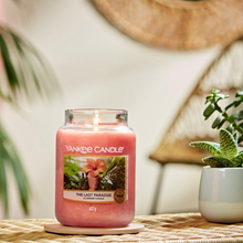 Load image into Gallery viewer, The Last Paradise Candle- Classic Jar
