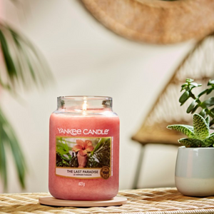 The Last Paradise Candle- Classic Jar