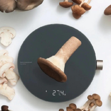 Load image into Gallery viewer, HOTO smart kitchen scale
