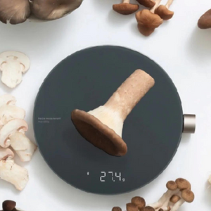 HOTO smart kitchen scale