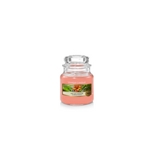 Load image into Gallery viewer, The Last Paradise Candle- Classic Jar
