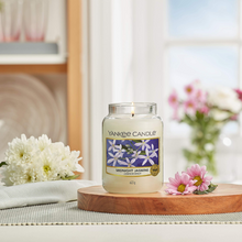 Load image into Gallery viewer, Midnight Jasmine Candle- Classic Jar
