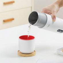 Load image into Gallery viewer, Electric Heating Bottle
